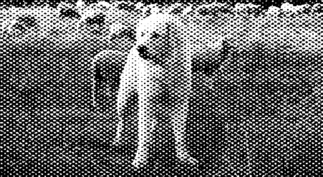 pixelated black and white image of a labrador dog guarding sheep